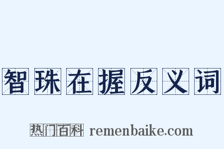 智珠在握反义词是什么意思的图片
